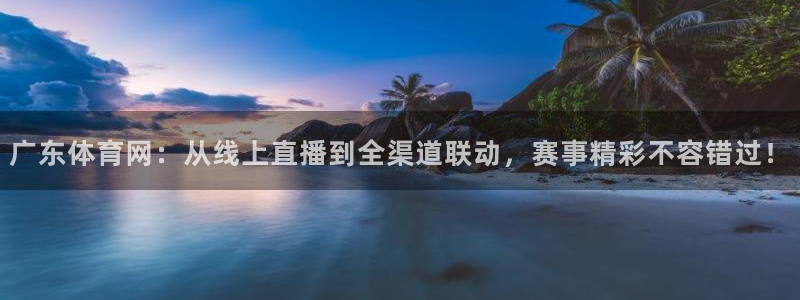 龙门直播在线观看：广东体育网：从线上直播到全渠道联动，赛事精彩不容错过！