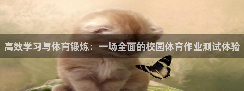 龙门直播免费下载入口：高效学习与体育锻炼：一场全面的校园体育作业测试体验