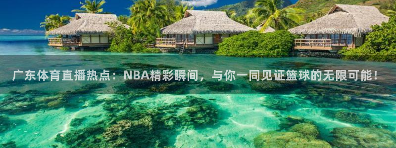 龙门免费直播平台：广东体育直播热点：NBA精彩瞬间，与你一同见证篮球的无限可能！