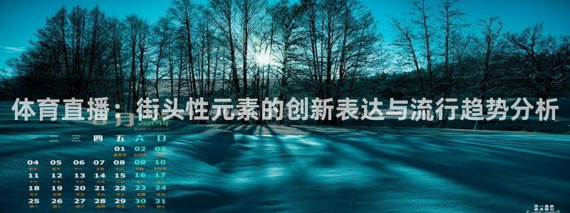 龙门体育免费直播：体育直播：街头性元素的创新表达与流行趋势分析