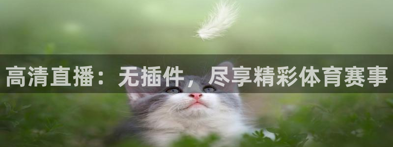 龙门直播nba免费直播在线观看：高清直播：无插件，尽享精彩体育赛事