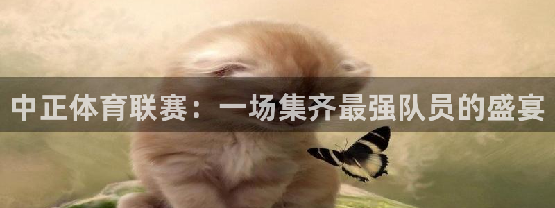 龙门免费直播：中正体育联赛：一场集齐最强队员的盛宴