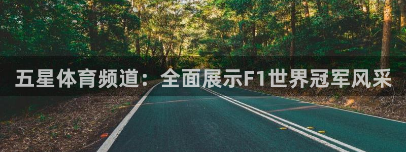 龙门直播官网入口首页：五星体育频道：全面展示F1世界冠军风采