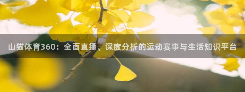龙门足球直播：山猫体育360：全面直播、深度分析的运动赛事与生活知识平台
