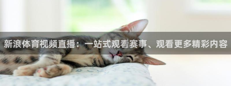 jrs直播低调看直播nba直播 龙门直播