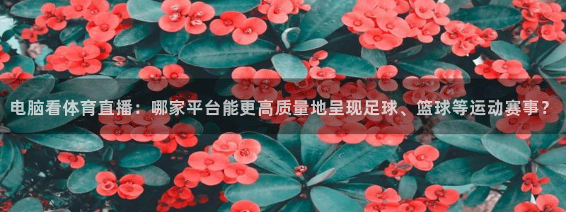 龙门飞甲超清在线播放：电脑看体育直播：哪家平台能更高质量地呈现足球、篮球等运动赛事？