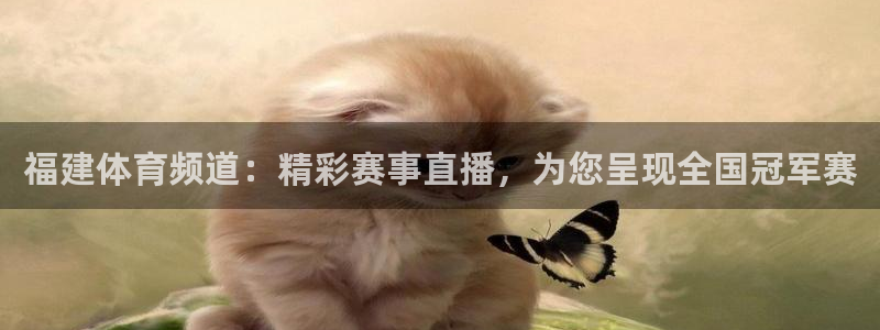 龙门nba免费直播：福建体育频道：精彩赛事直播，为您呈现全国冠军赛