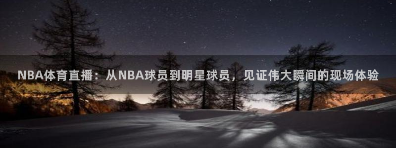 龙门飞甲超清在线播放：NBA体育直播：从NBA球员到明星球员，见证伟大瞬间的现场体验