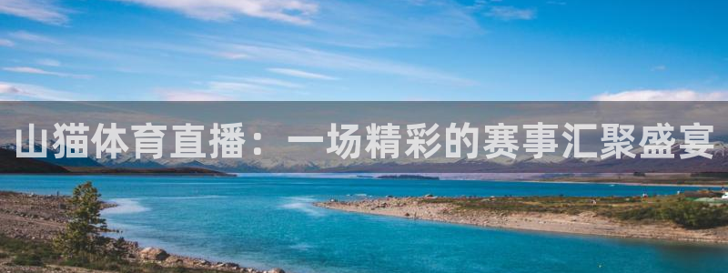 龙门直播官网：山猫体育直播：一场精彩的赛事汇聚盛宴